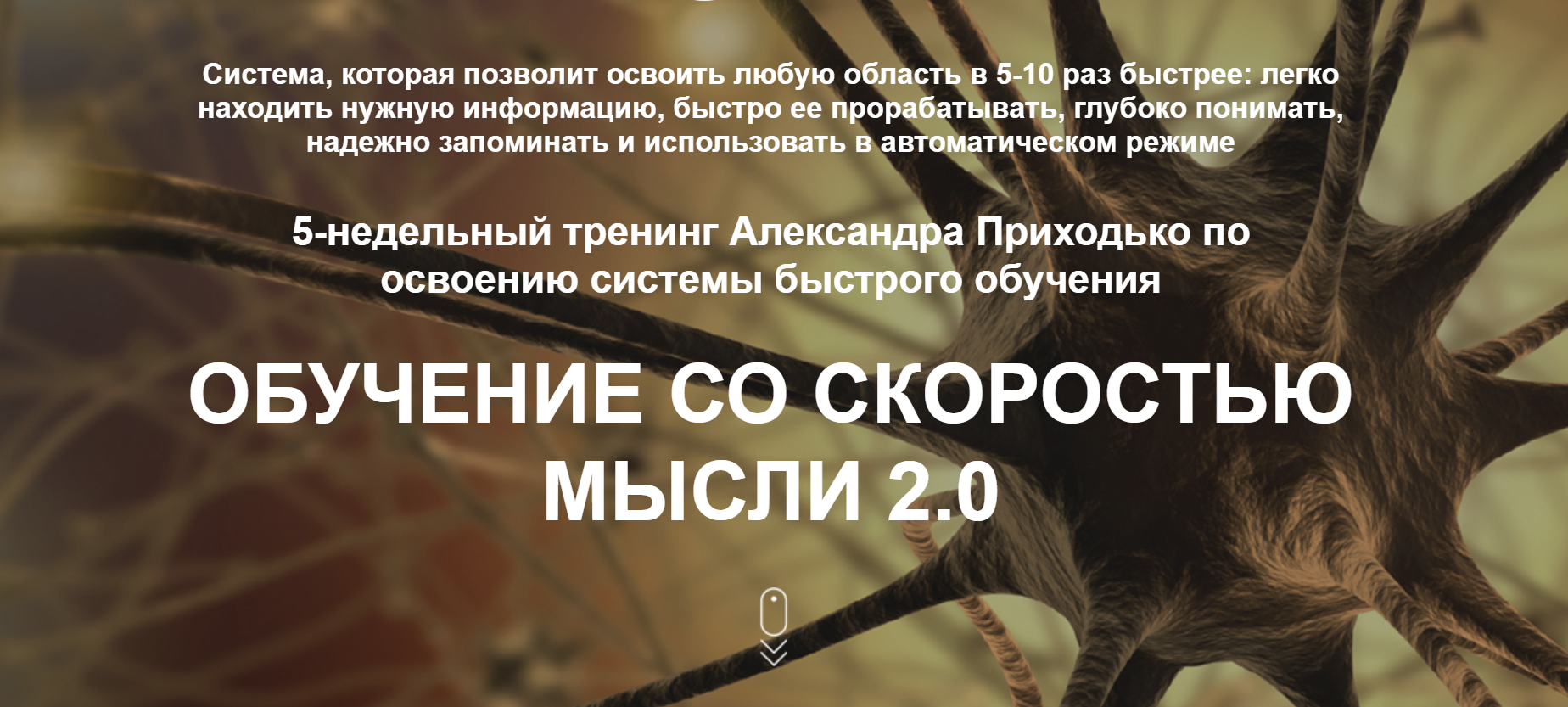 [Александр Приходько] Обучение со скоростью мысли _0.png